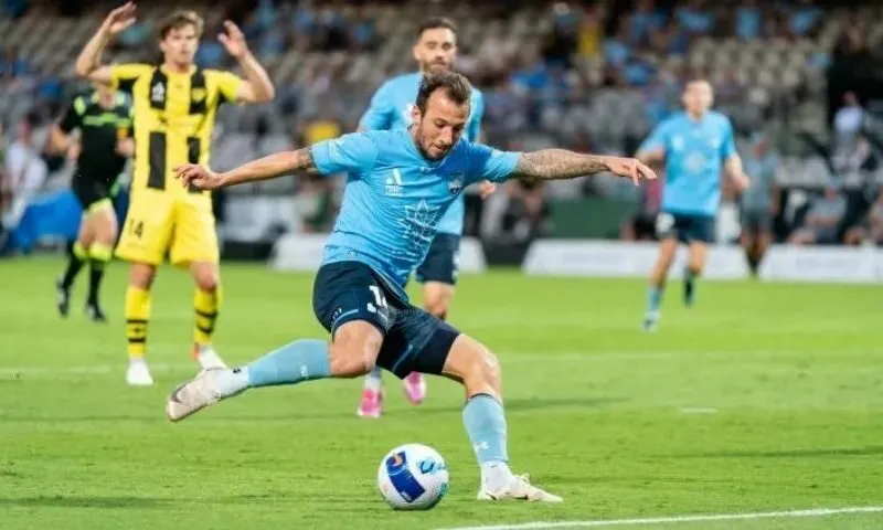 đội hình sydney fc gặp wellington phoenix fc