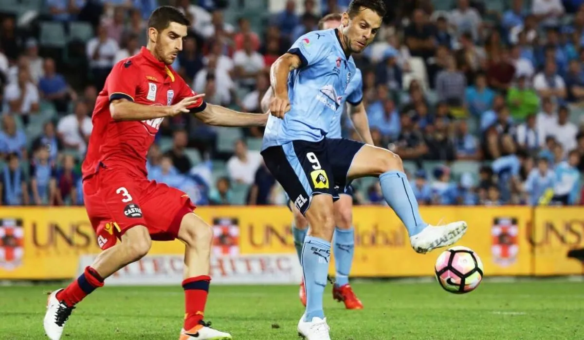 so-lieu-thong-ke-ve-sydney-fc-gap-cau-lac-bo-bong-da-adelaide-united-0