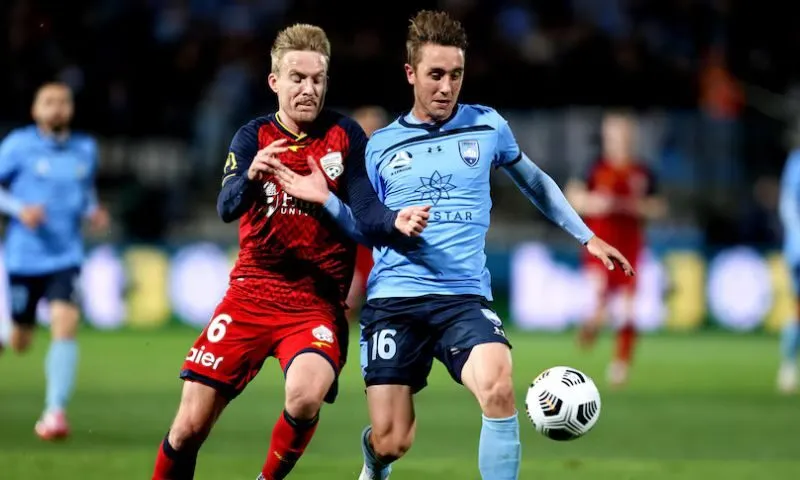 Số liệu thống kê về Sydney FC gặp câu lạc bộ bóng đá Adelaide United