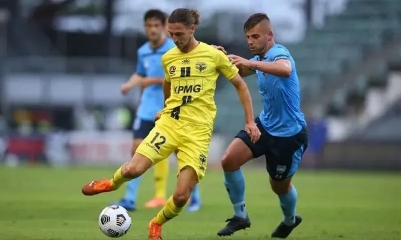 Số liệu thống kê về Sydney FC gặp Wellington Phoenix FC